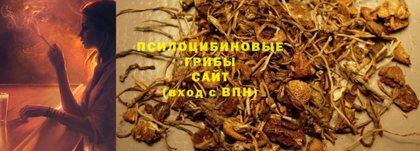 таблы Алзамай