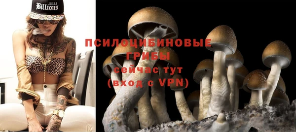 стаф Алексеевка