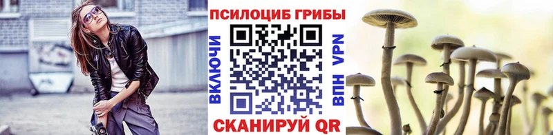 Псилоцибиновые грибы ЛСД  OMG сайт  Камызяк 